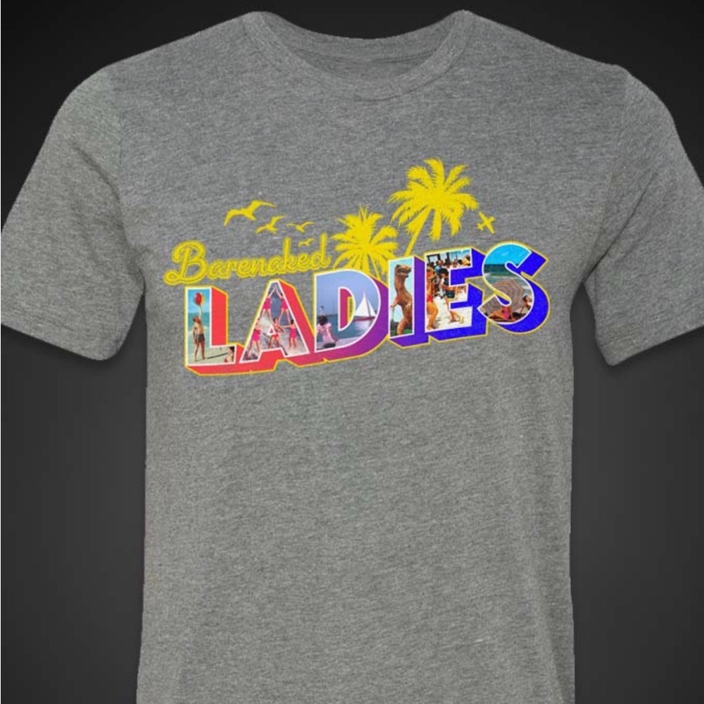 Barenaked Ladies summerscape logo BNLHeather Gray Graphic Concert Tee M